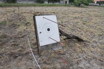 005target