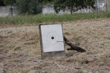 007target