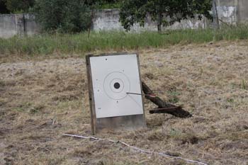 008target