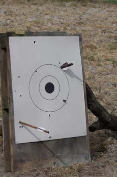 010target